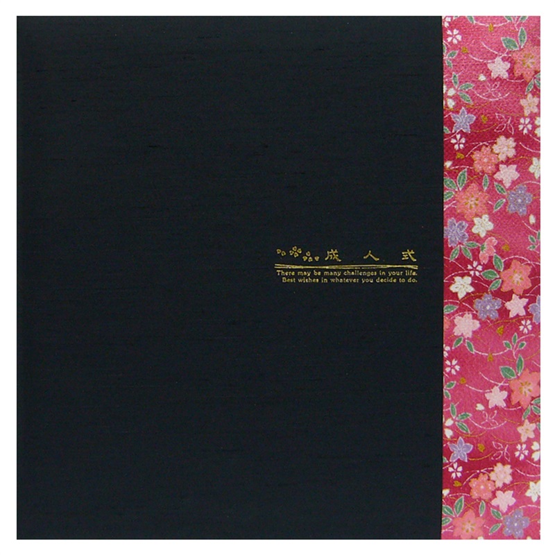 成人式台紙　六切(成人式台紙 六切 6P／B（中枠別売）)