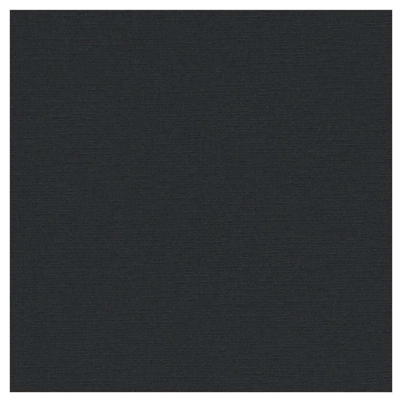 TSNT中枠 【六切】(TSNT六切 抜無-販売単位:5)