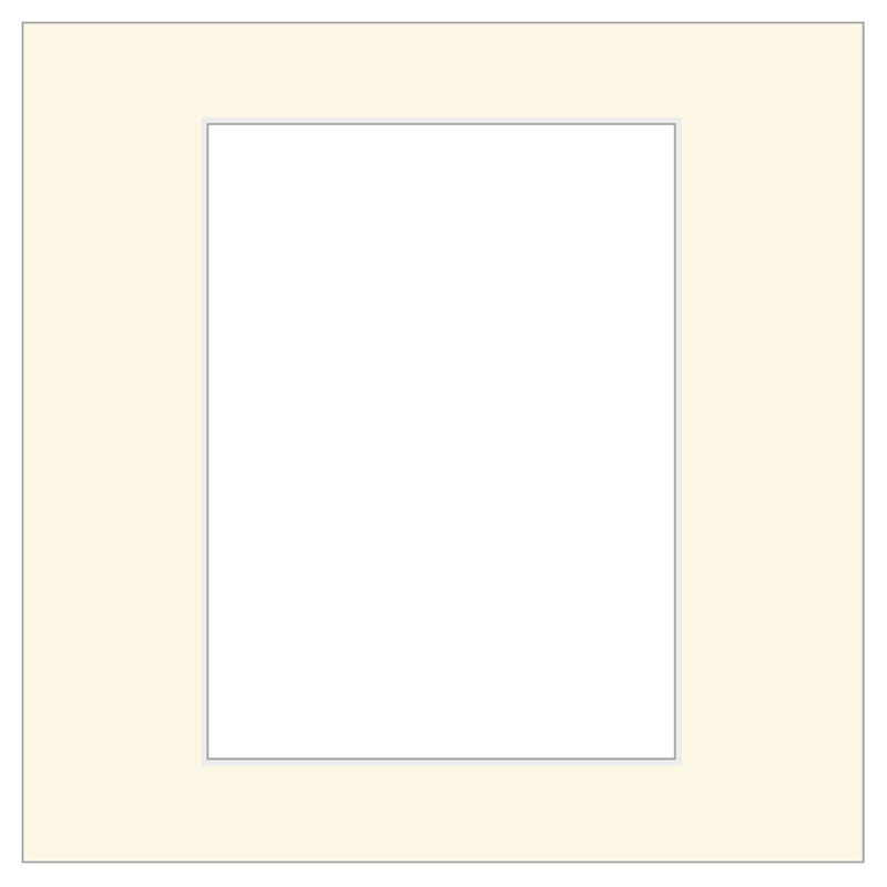 TDNC中枠【六切】(六切／角-販売単価:20)