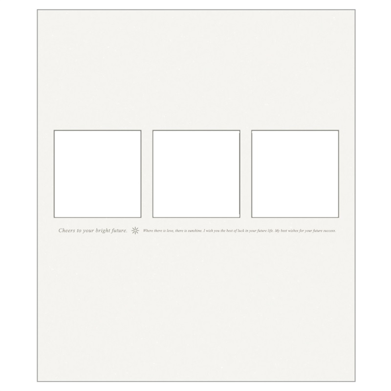 ラディアンス中枠(ラディアンス中枠 白11)