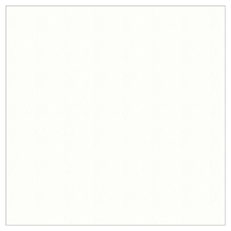 SNSQ中枠【六切】(SNSQ-27（抜無）-白（販売単位:5）)