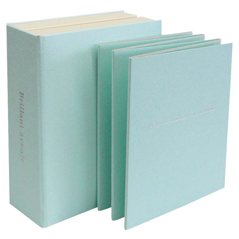 ミニョン（L判）(ミニョン／ブルー)